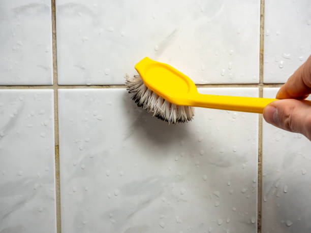 Best Mold Remediation Services  in Grand Haven, MI