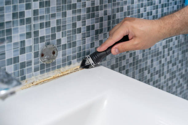Professional Mold Removal in Grand Haven, MI