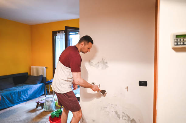 Best Toxic Mold Removal  in Grand Haven, MI